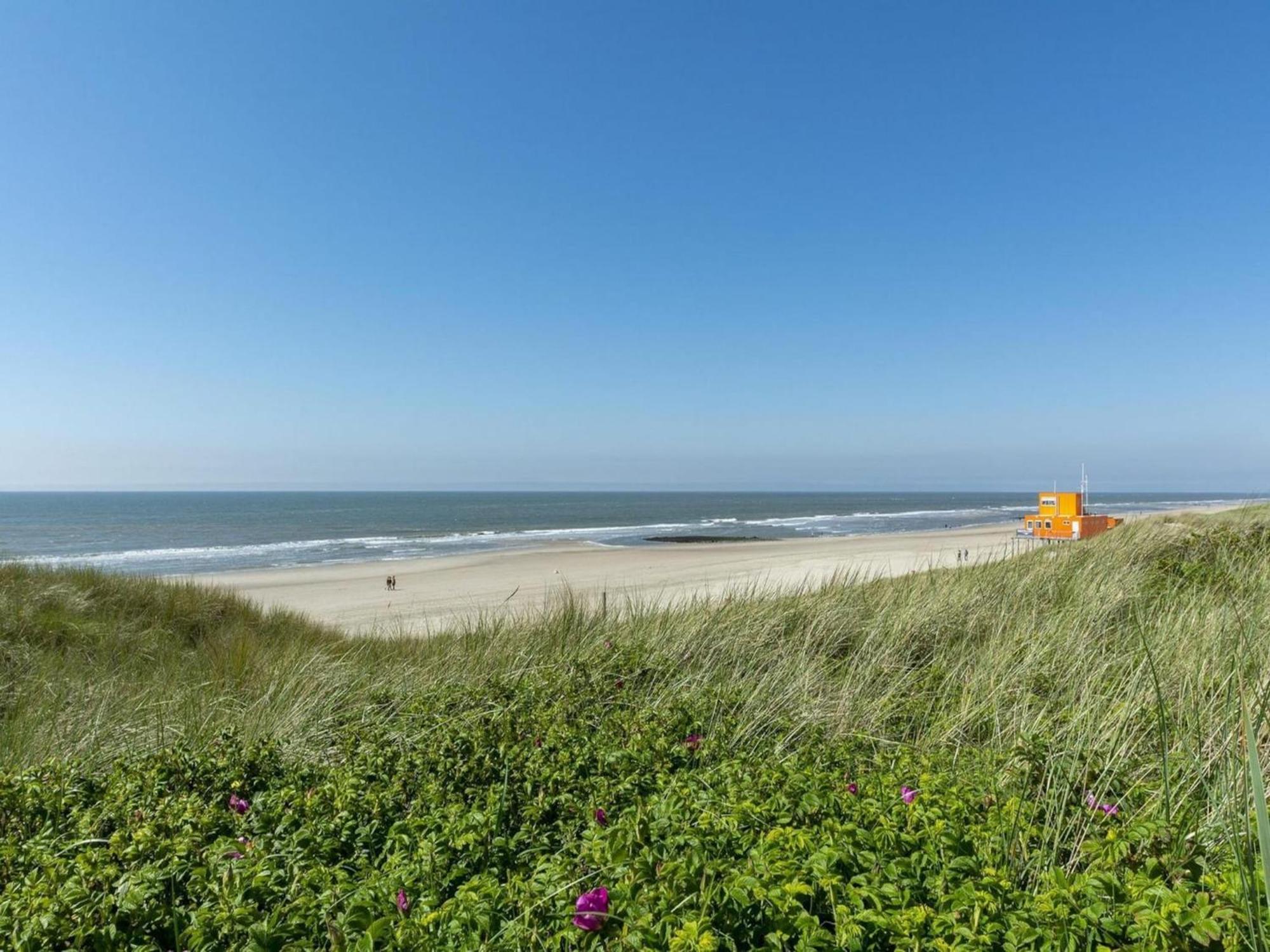 Alluring Seaside Holiday Home Callantsoog Buitenkant foto
